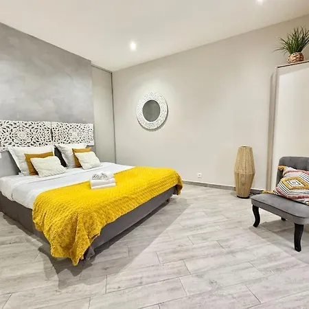 Apartment Le Palmero Centre Ville, Plage, Clim *