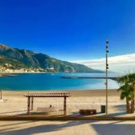 公寓 Le Palmero Centre Ville, Plage, Clime 芒通