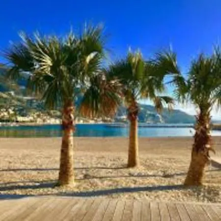 公寓 Le Palmero Centre Ville, Plage, Clime *