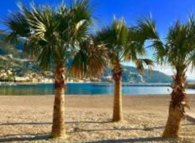 Lejlighed Le Palmero Centre Ville, Plage, Clim *